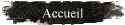 Accueil